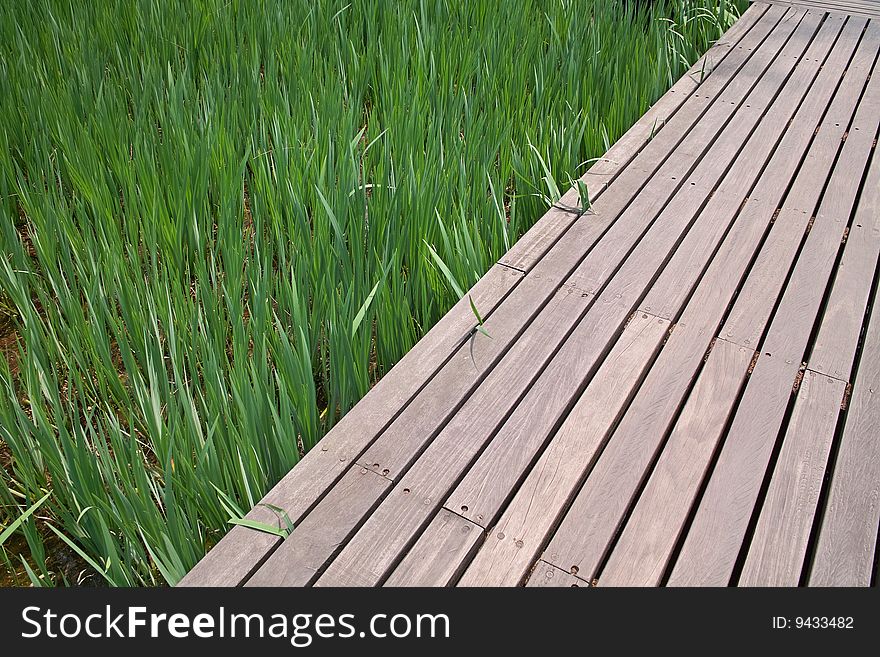 Plank Platform And Fresh Grasses