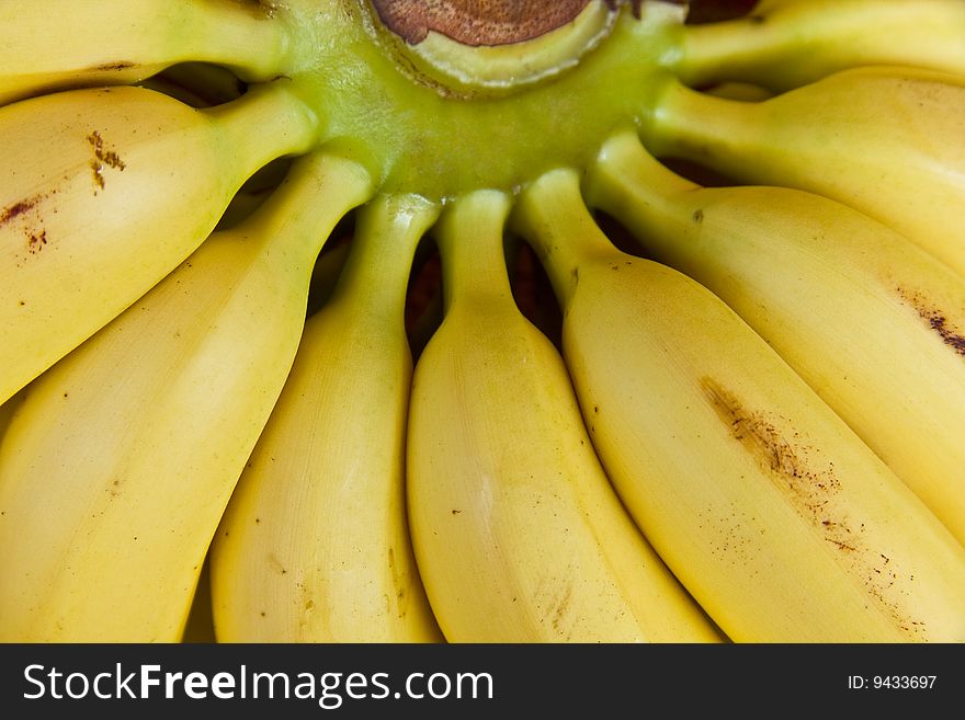 Close up on a bunch of yellow bananas.