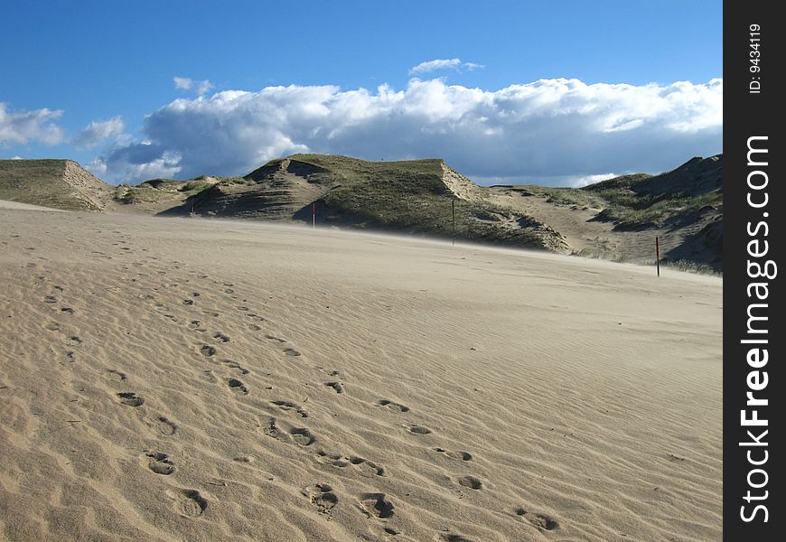 Dunes on the Curonian Spit in Lithuania