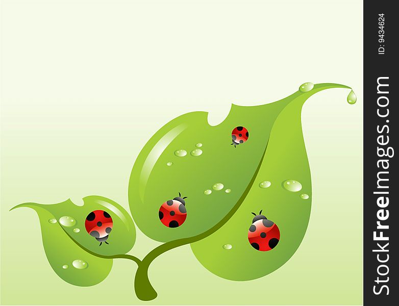 Beautiful red Ladybirds on a green leaf