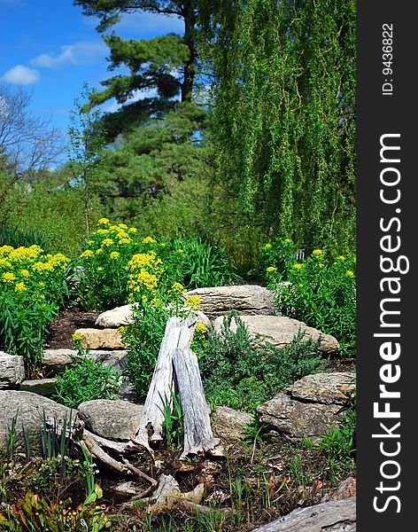 Landscaped garden in the spring at botanical gardens. Landscaped garden in the spring at botanical gardens