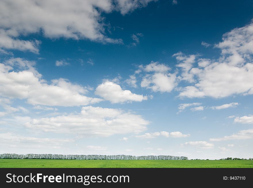 Background of cloudy sky and grass. Background of cloudy sky and grass