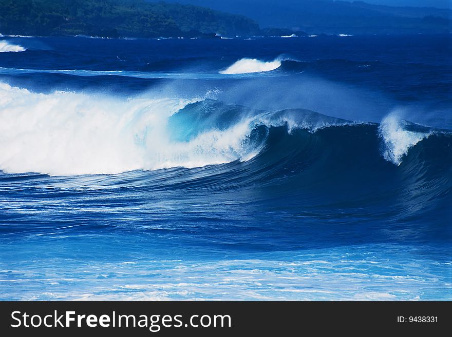 Walks along the line of surf on an island. Walks along the line of surf on an island