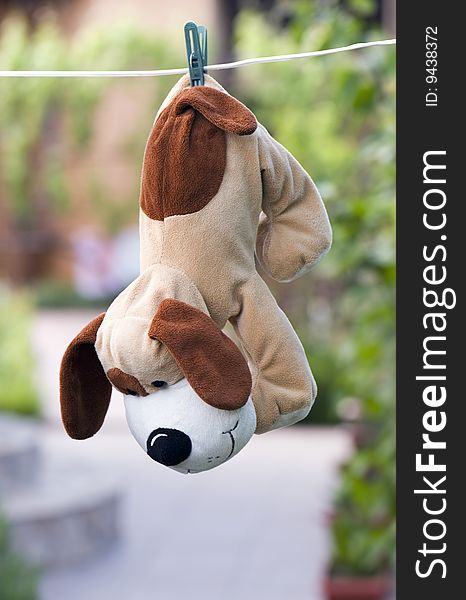 Children's toy: the plush dog hangs on a cord. Children's toy: the plush dog hangs on a cord