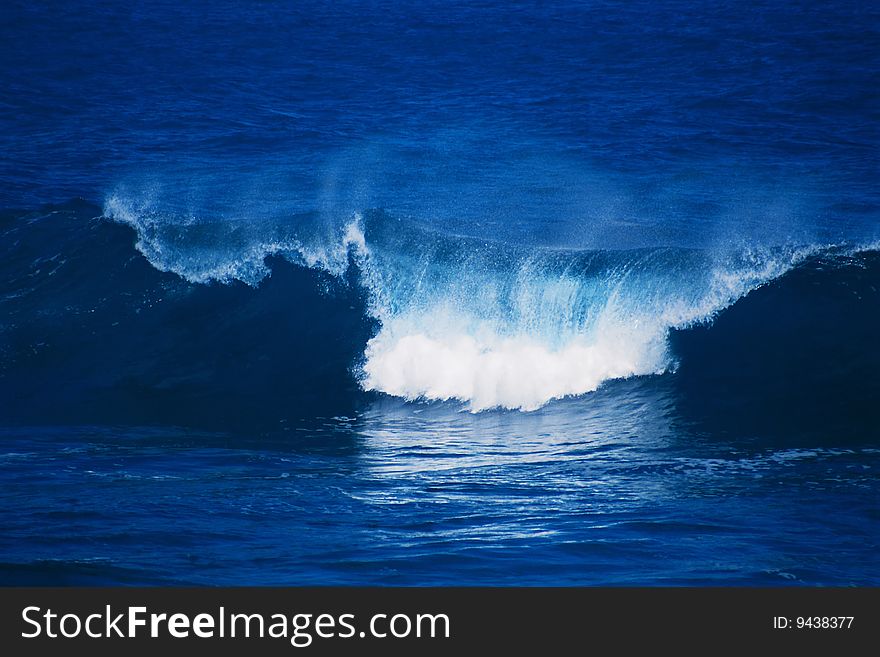 Walks along the line of surf on an island. Walks along the line of surf on an island