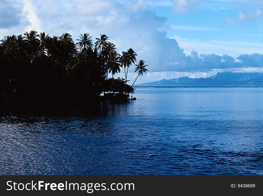 Walks along the line of surf on an island. Walks along the line of surf on an island