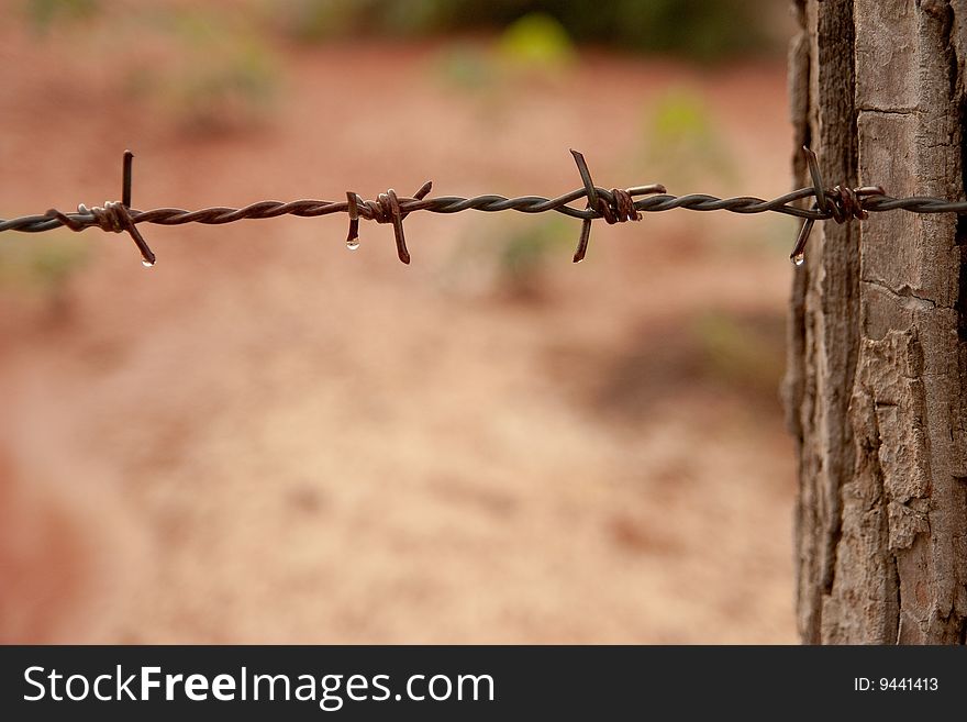 Barb wire with wood pillar. Barb wire with wood pillar