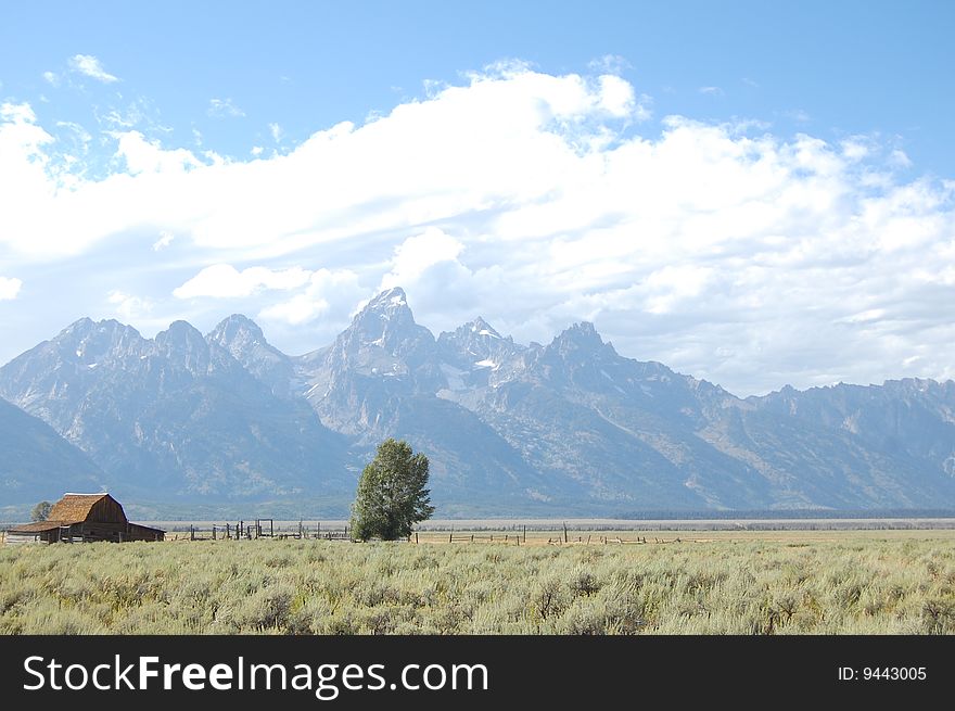 Single farmhouse and tree with Grand Tetons in the background. Single farmhouse and tree with Grand Tetons in the background