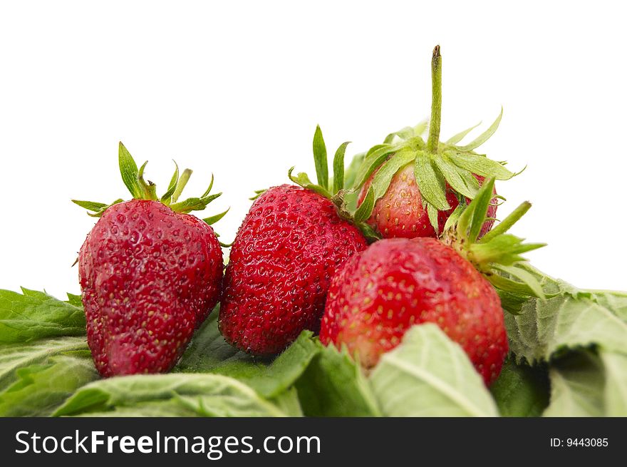 Fresh strawberry on a white background. Fresh strawberry on a white background