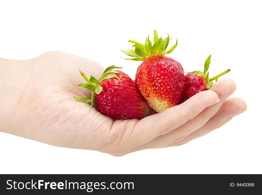 Fresh strawberry in hand on a white background