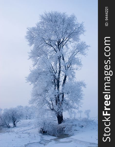 Rime in rime island Northeast China