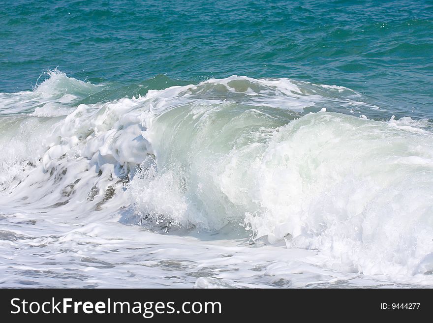 Wave on the sea beach