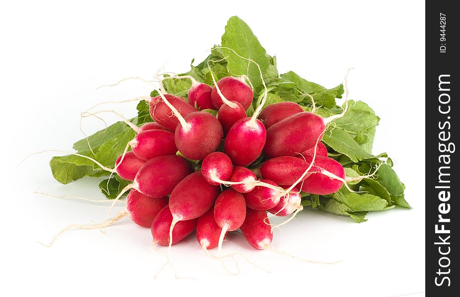 Fresh delicious radish bunch on the white background. Fresh delicious radish bunch on the white background