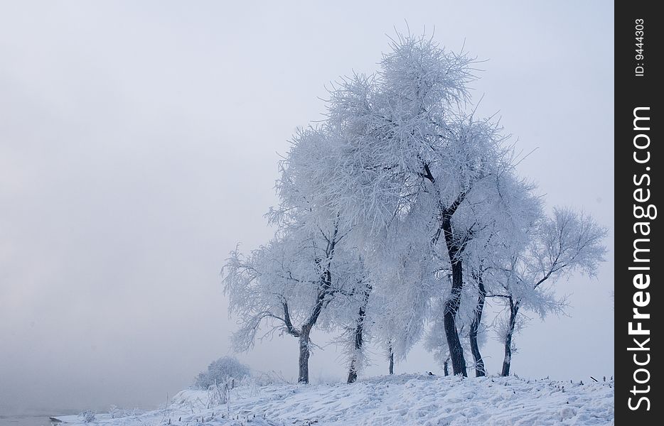 china cold island morning nature north plants rime river snow travel tree