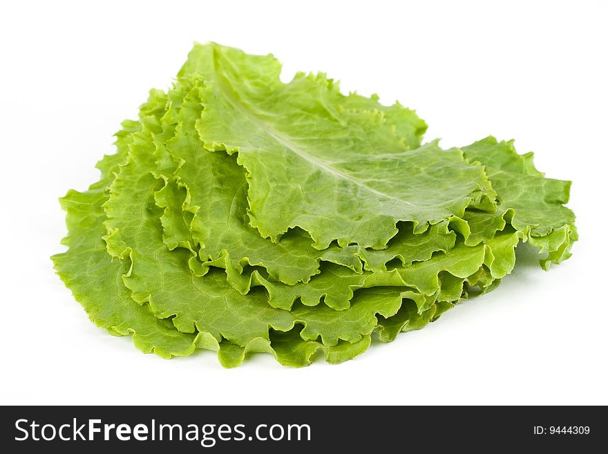 Five Leaves of lettuce on the white background. Five Leaves of lettuce on the white background