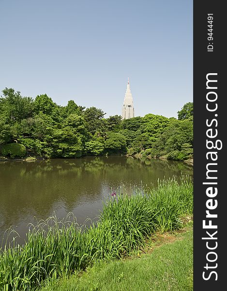 Pond at national park in Tokyo, Japan
