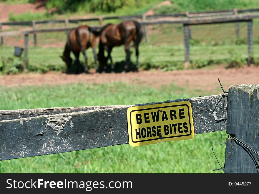 A Yellow Beware horse bites sign