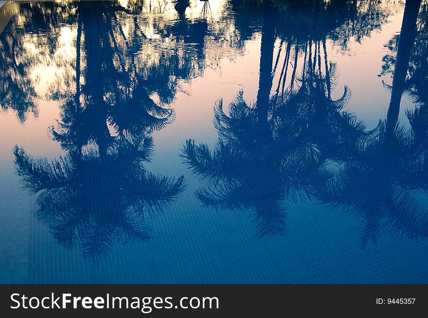 Sunset Reflection In Pool