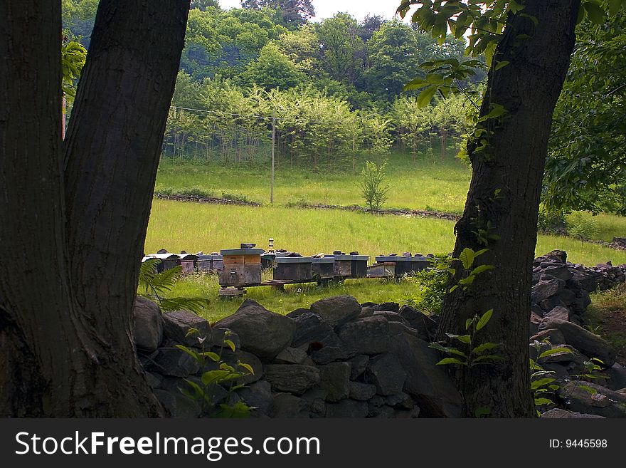 Hives in a mountain meadow. Hives in a mountain meadow