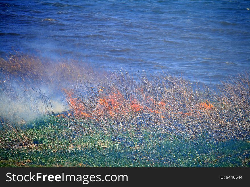 Brush fire near a lake in Spring