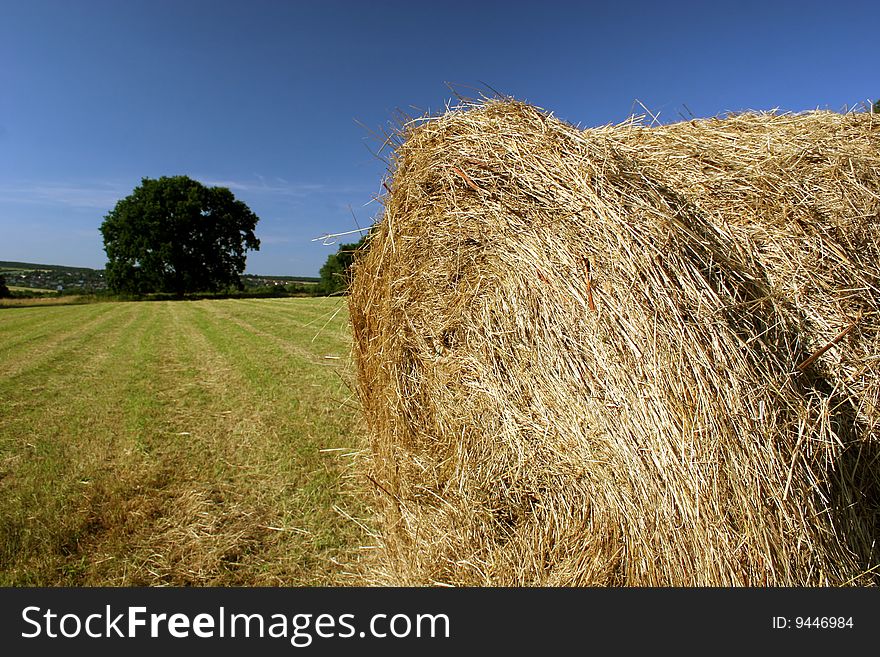 Idyllic field with hay bales in late summer