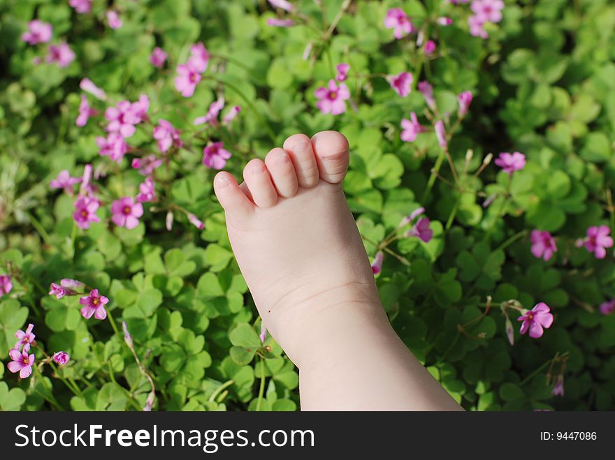 Cute baby foot on green and flower background