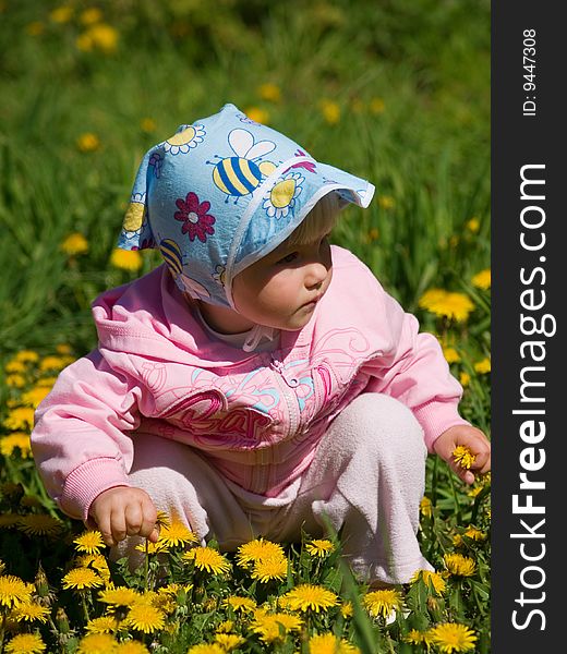 Little girl amongst yellow dandelion. Little girl amongst yellow dandelion