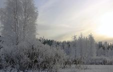 Wintertime Stock Images