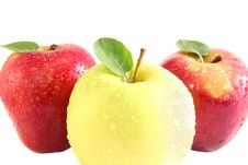 Apples Stock Photography Apples Stock Photography