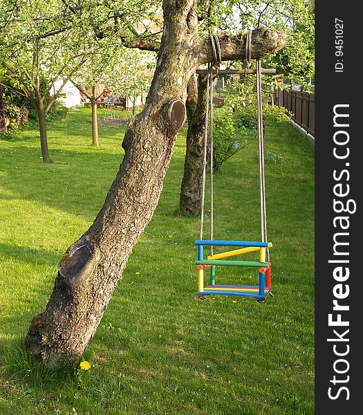 Swing for kids hang on tree branch