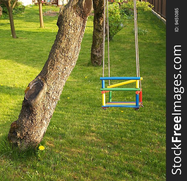 Swing for kids hang on tree branch