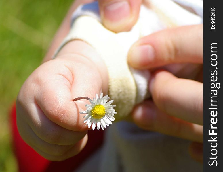 Child's hand with a flower