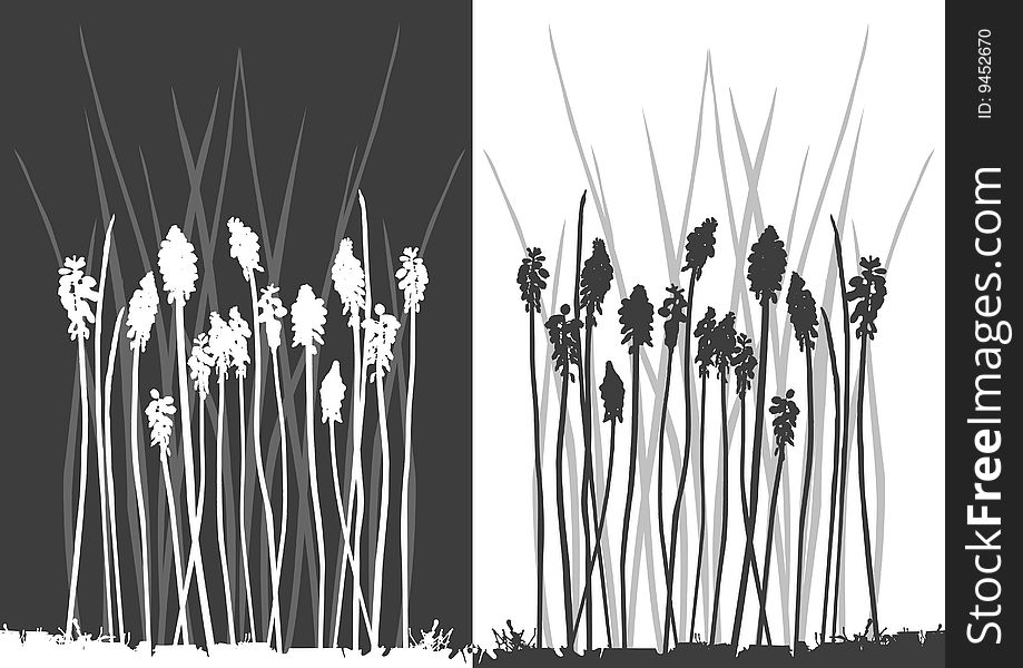 Set Of Vector Grass Silhouettes