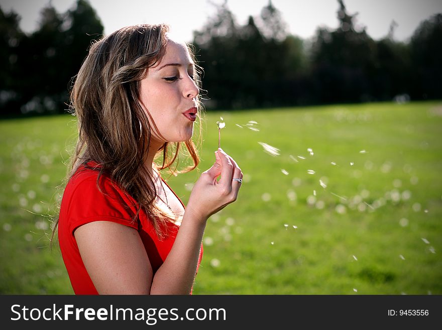 A young girl blowing a dandelion. A young girl blowing a dandelion