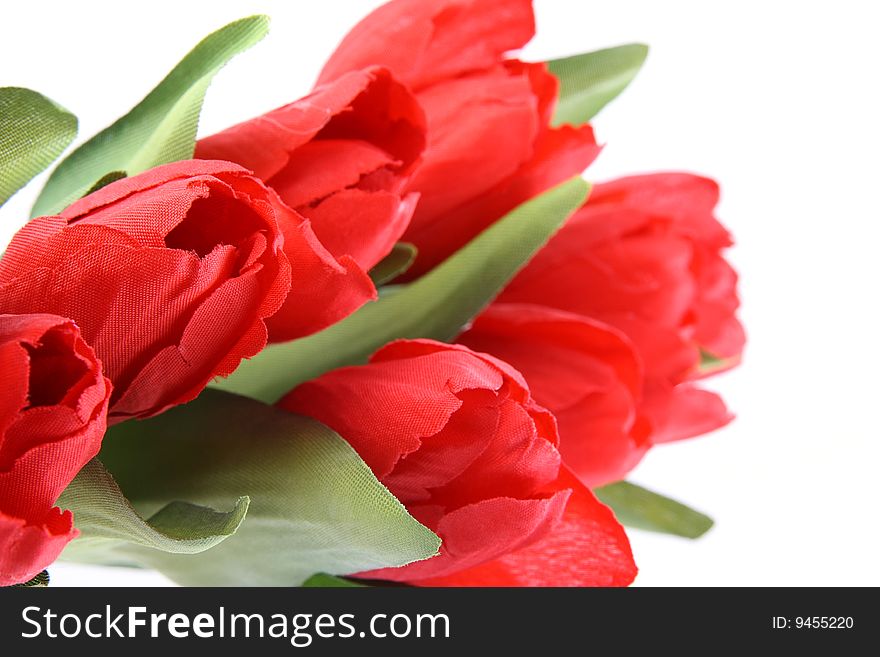 Red  plastic tulips isolated on white background