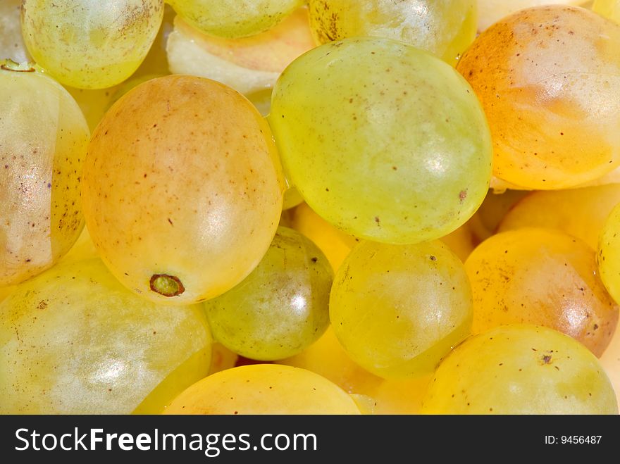 Green juicy grape for background