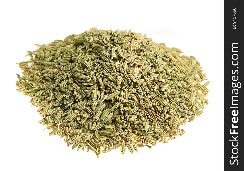 Fenchel (fennel) Isolated