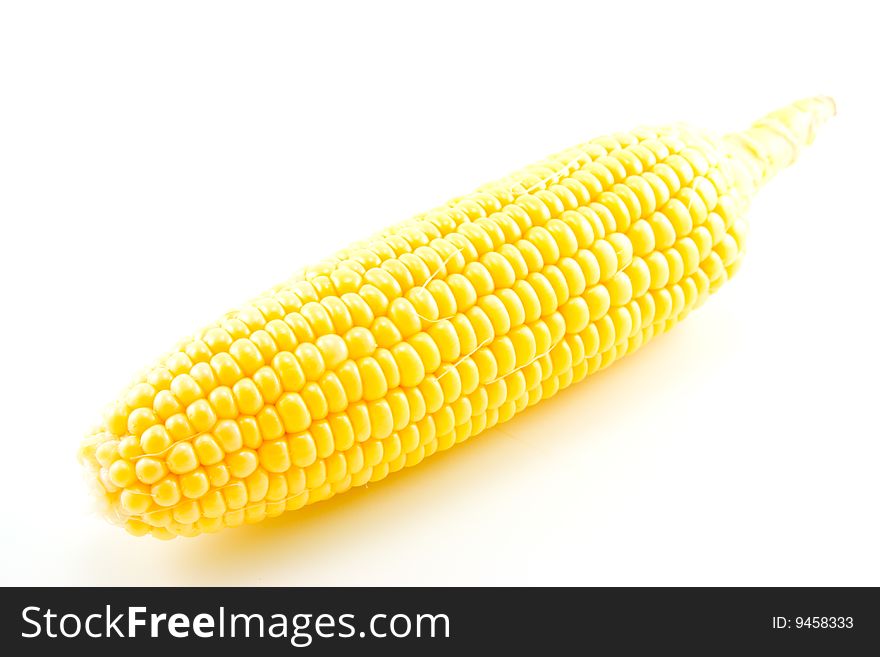 Single whole ear of maize or sweetcorn fully un-wrapped and showing yellow kernels on a white background. Single whole ear of maize or sweetcorn fully un-wrapped and showing yellow kernels on a white background