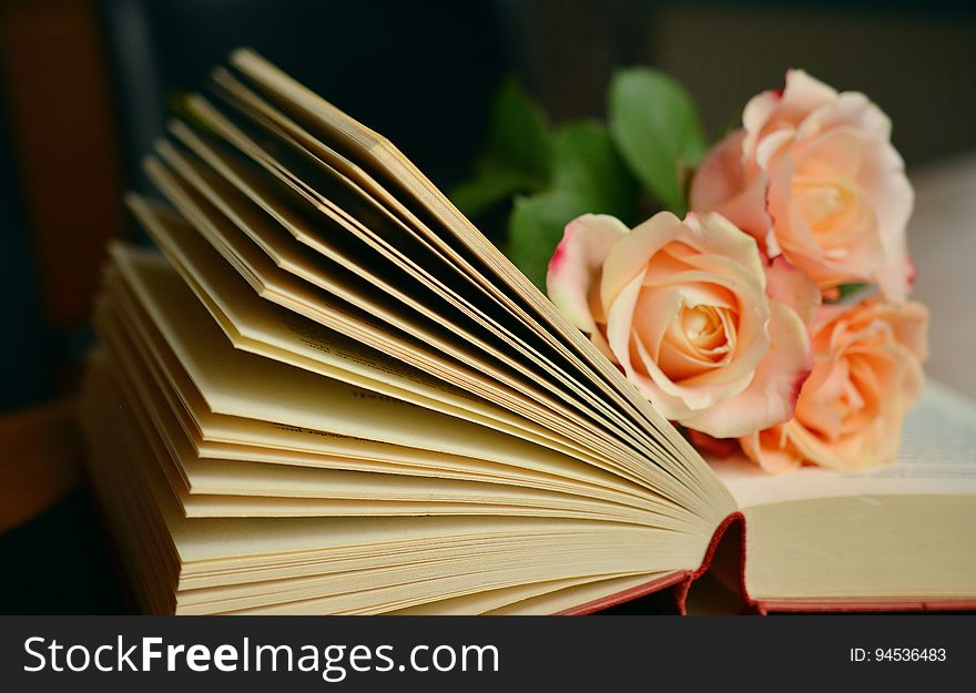 Open Book With Roses