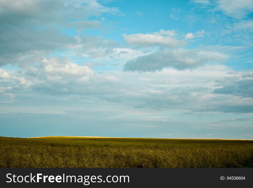 Green Fields Under Blue Skies