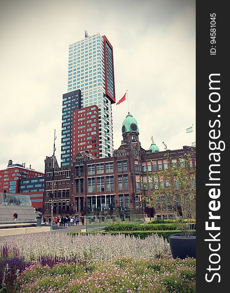 Hotel New York and the Port of Rotterdam.