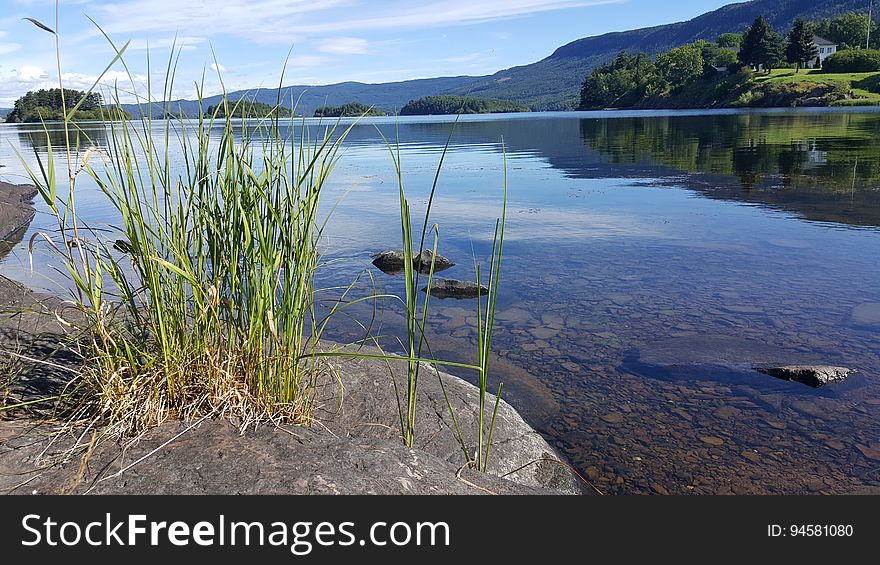 A lake with clear water in the summer. A lake with clear water in the summer.