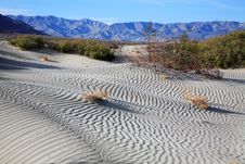 Sand Ripples Stock Image Sand Ripples Stock Image