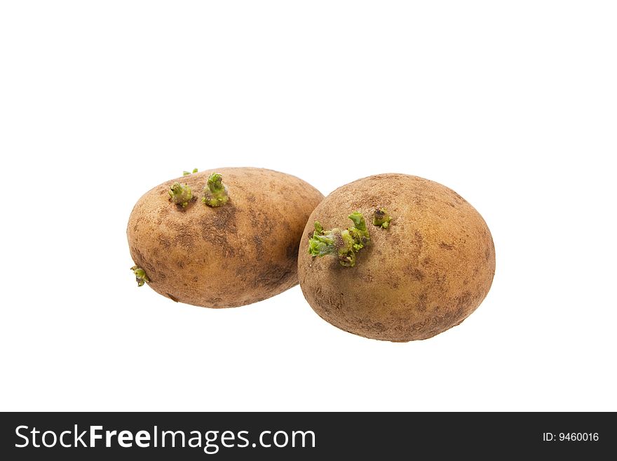 The potatoes. Isolated on white.