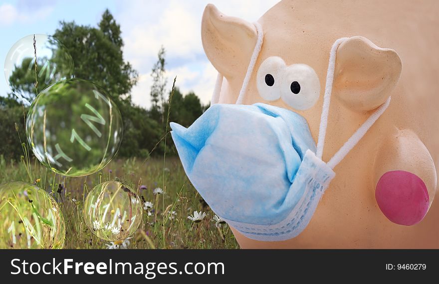 Pig with face mask