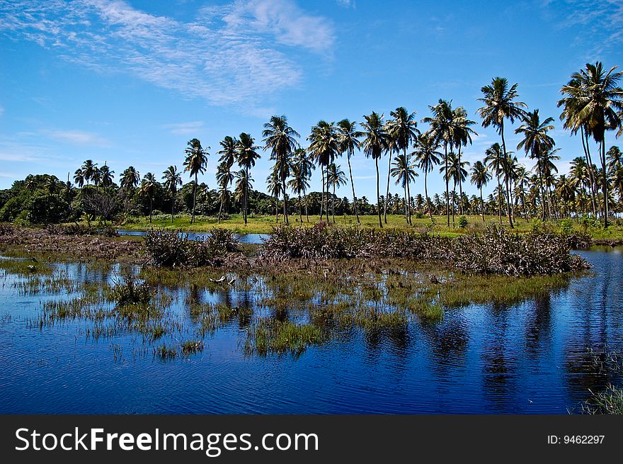 Photo taken at a coconut lake. Photo taken at a coconut lake