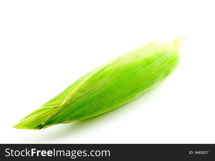 Single whole ear of maize or sweetcorn still wrapped up on a white background. Single whole ear of maize or sweetcorn still wrapped up on a white background