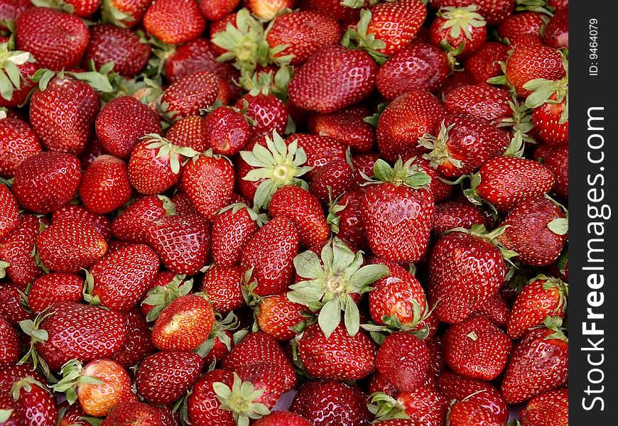 Lots of red strawberries on a pile