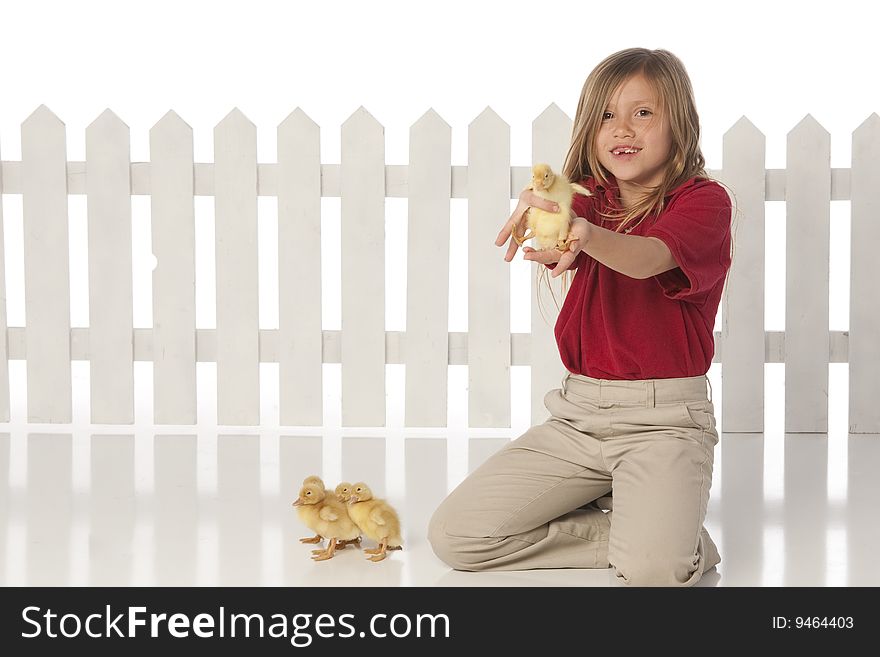 Little Girl With Baby Ducks