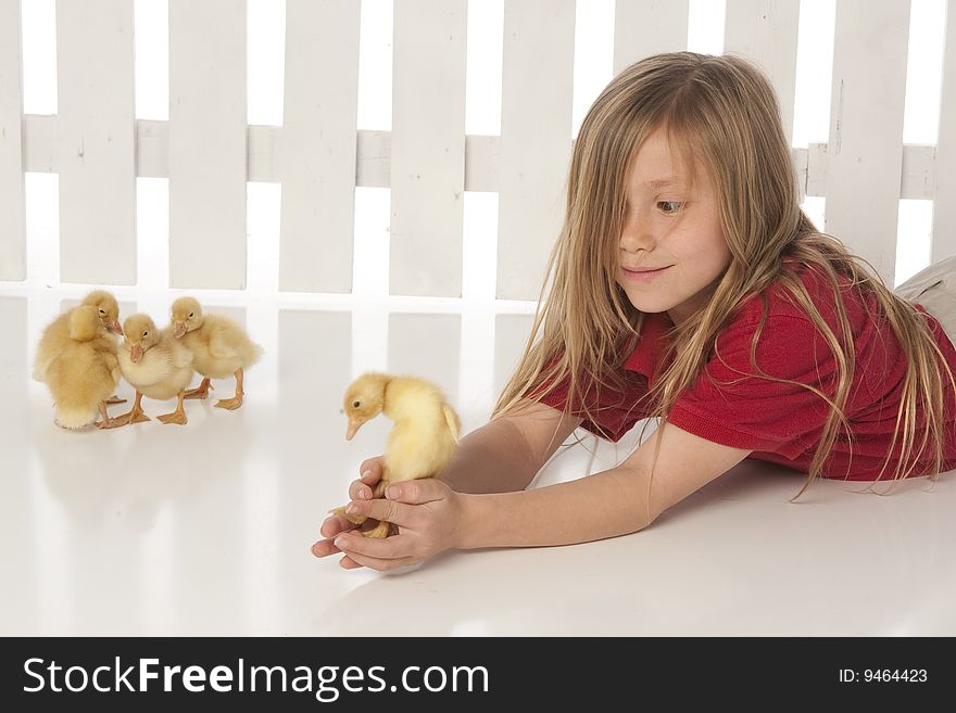 Little girl holding ducks with fence in background. Little girl holding ducks with fence in background.